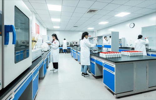 白酒科技如何賦能微生物 從茅臺(tái)鎮(zhèn)國臺(tái)酒的現(xiàn)代化實(shí)踐看生物技術(shù)服務(wù)新路徑